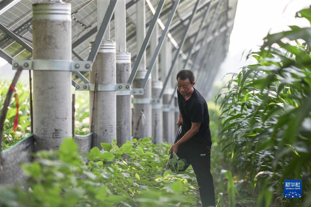 红太阳娱乐场